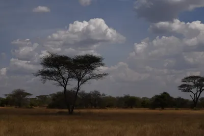 DSC_4033 (Large).JPG